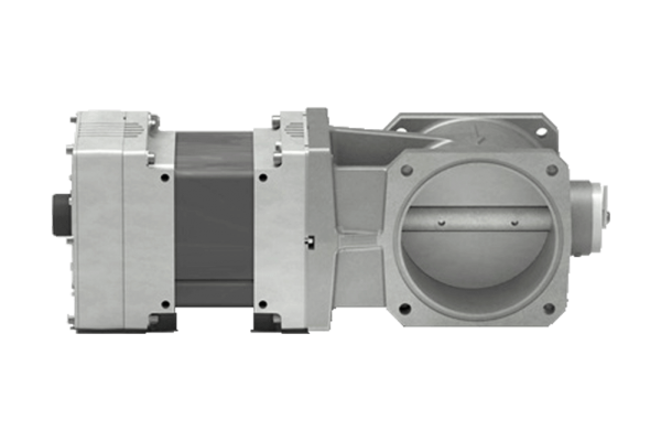 Woodward throttle valve